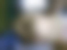 Melissacantik.com porn|Duniafuntasex | My Life Sex | Page 5