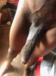 Big black long penis sex porn videos jpg x Big black penis