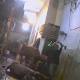 'Australian cattle' being bludgeoned to death in Vietnam sparks Government investigation 