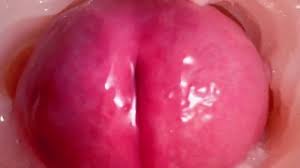 Cum inside vagina jpg x Cum inside vagina