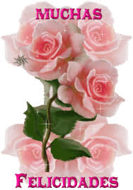 images?q=tbn:ANd9GcRyIyTYjfNU6mMeIXW0eE5KA10lnggQ3gf_u7P99ocKnqKDqJQ6yA