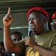 Tax woes deepen for South African firebrand Malema