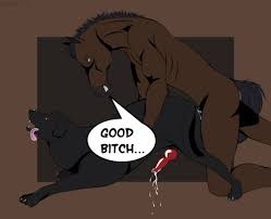 Extreme horse sex horse fuck zoophilia porn from around the world jpg x Horse fuck