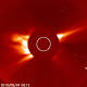 Death Dive! Comet Plunges into the Sun at Mind-Blowing Speed 