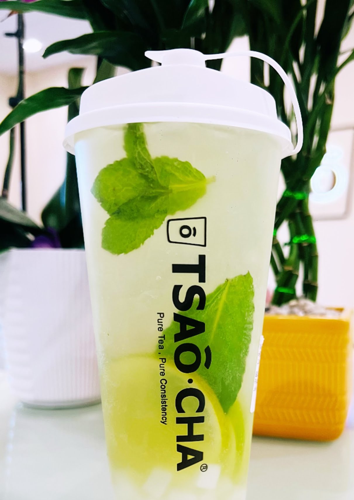 TSAoCAA Bubble Tea by null
