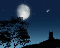 http://t3.gstatic.com/images?q=tbn:ANd9GcS0cZ2GD5P4XugaU3NRJAPYKgfqTIPVMn1Ogl8rZMky6QaU-Krw