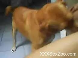 Naughty young man prefers a dogs pussy to a teens jpg x Guy fucks dog pussy
