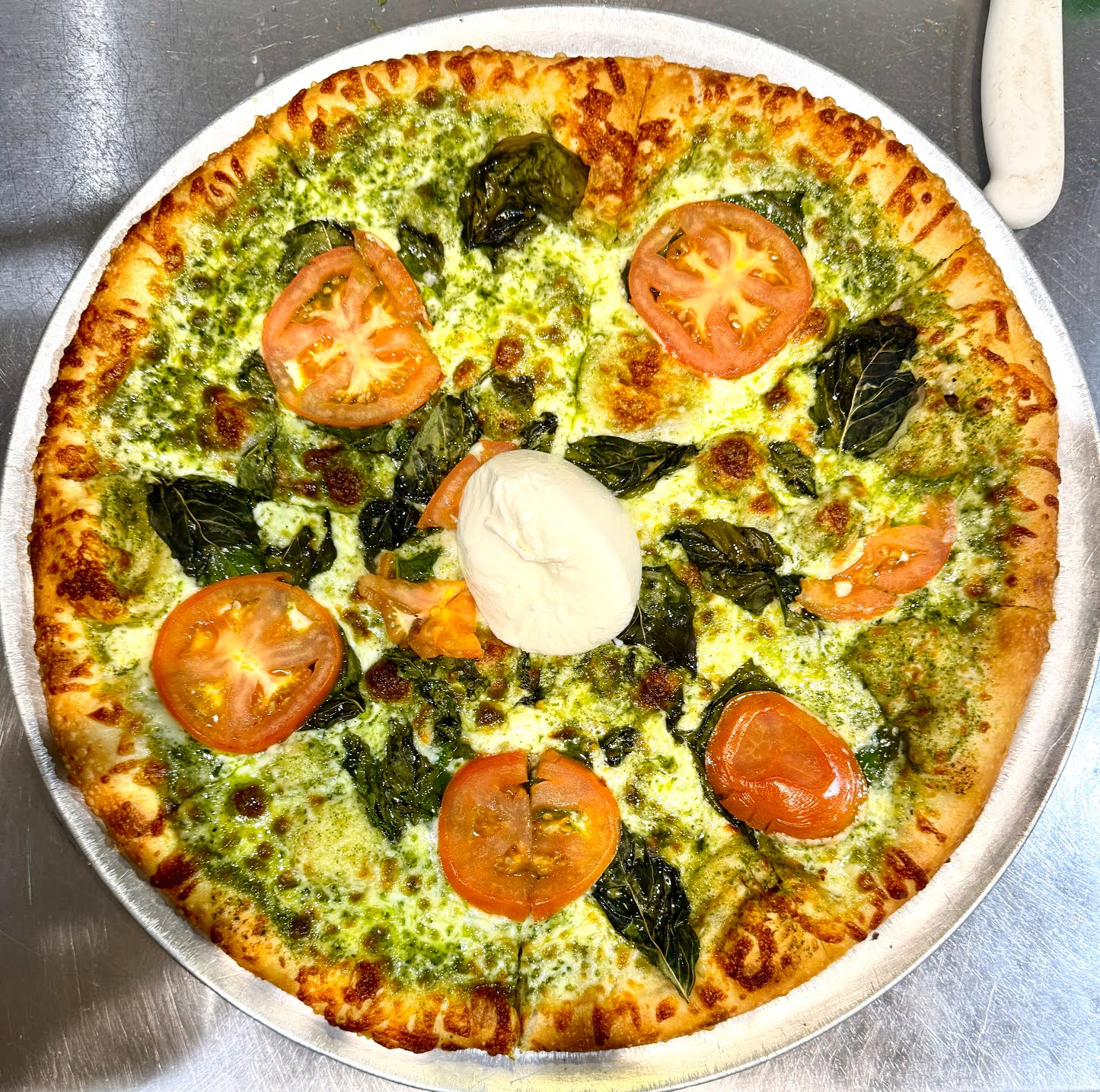 Little Coyote by null