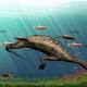 Fossils shed light on 'bizarre' reptile 