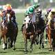 Melbourne Cup first nominations announced 