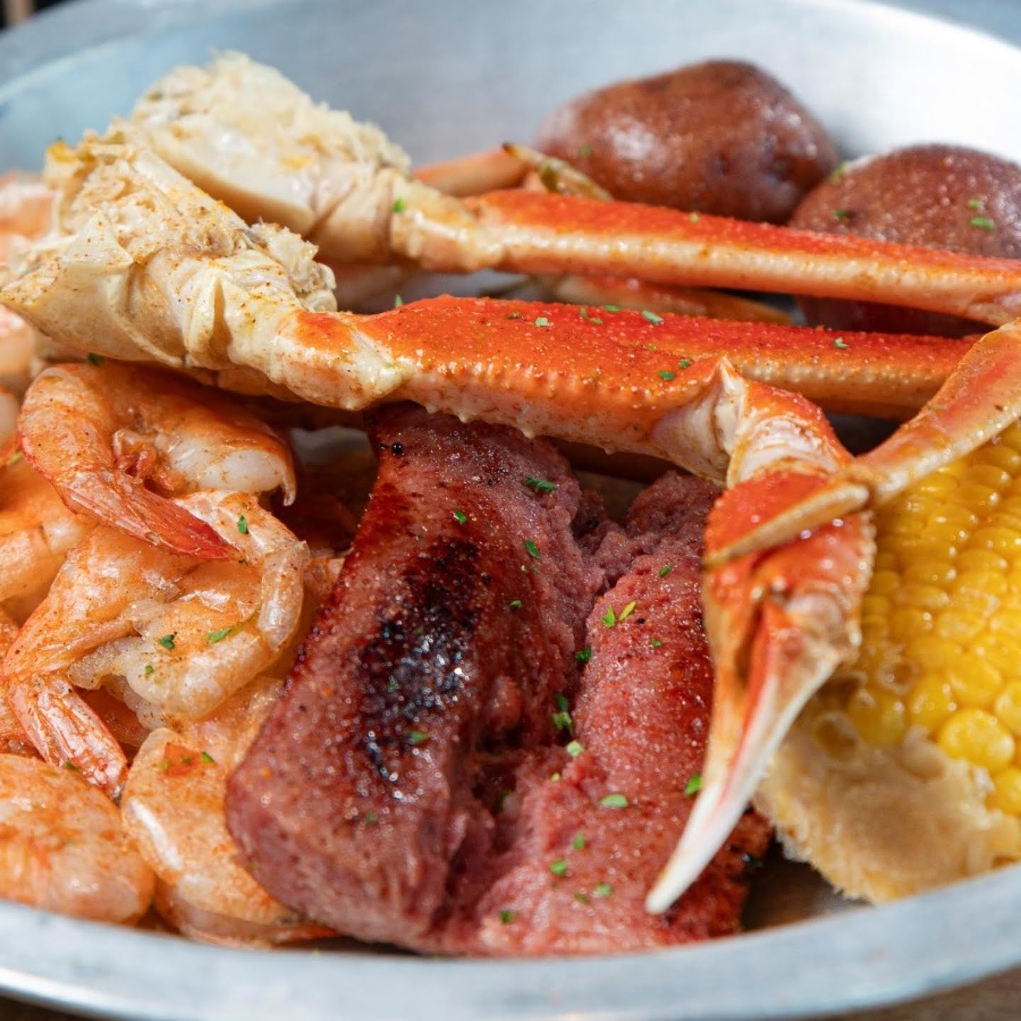 The Catch Mwc by null