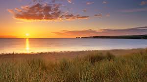 nudist ru boy|Dating Naked UK review – the US version blurred out the nudity. We didn't  get so lucky | Television | The Guardian