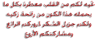 لو انتي صريحة وبتحبي الصراحة تعالي