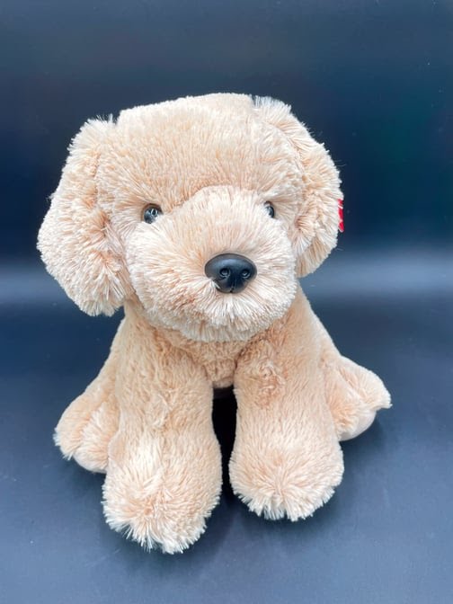 Stems Florist by null