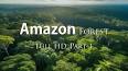 The Enigmatic Beauty of the Amazon Rainforest ile ilgili video
