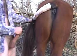 Man fuck horse videos male bestiality jpg x Man fucked by horse