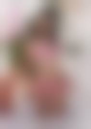 沢井みく ジュニアアイドル|特価品 【DVD】 沢井みく みくのランドセル日記 正規品 中古品 アイドル イメージ｜Yahoo!フリマ（旧PayPayフリマ）