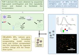 anna konno fake nude|華村あすか 写真集 真価論｜Yahoo!フリマ（旧PayPayフリマ）