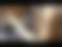 金粉ショー　乳首|大駱駝艦】お待たせしました。2023金粉ショー！ - YouTube