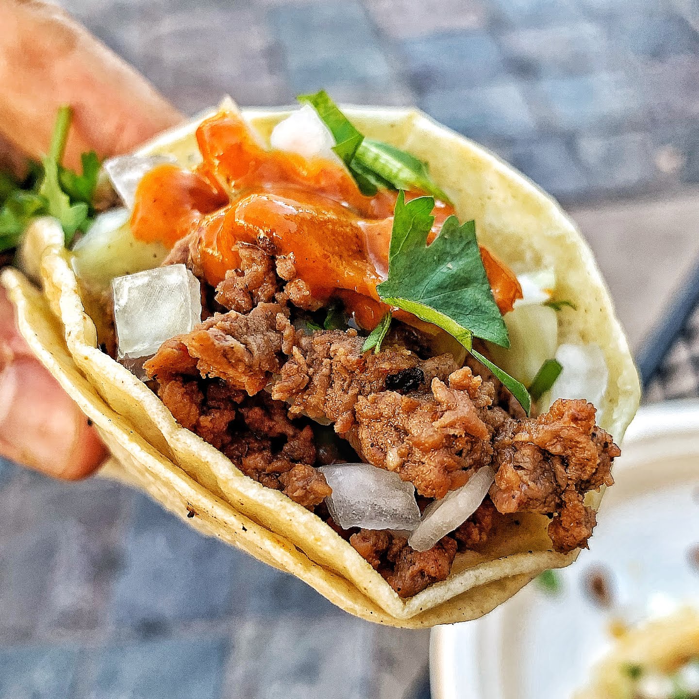 The Great White Hut by null