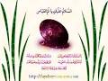 Image result for u202bزيارت نامه حضرت ام البنين سu202c
