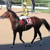 【セントライト記念】ソーヴァリアント２着 戸崎圭太騎手「切れの ...