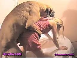 Bestiality lovers chinese webcam amateur dog hot porn girls jpg x Girl sex with dog
