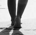 See full size image