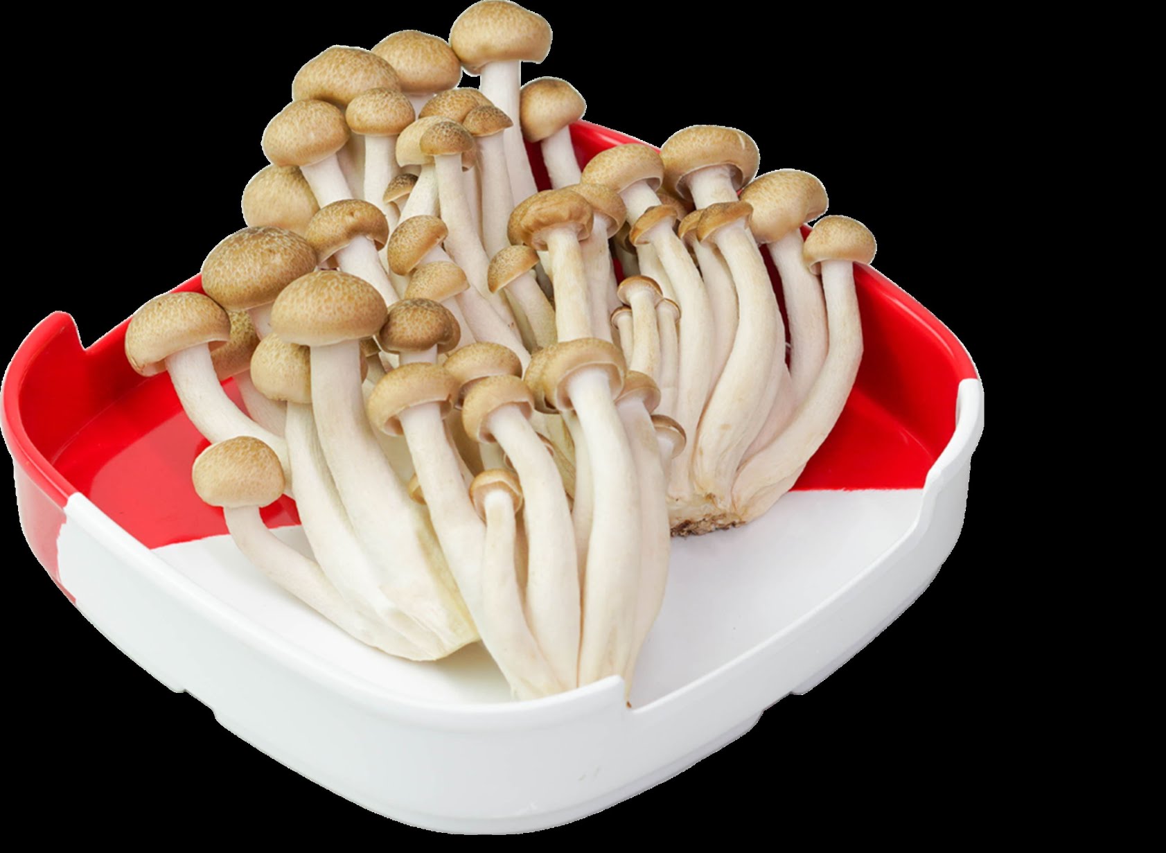 ម៉ាស្ទ័រស៊ុគីស៊ុប សាខាស៊ូភើស្ទ័រ - MasterSukiSoup (Super Store) by null