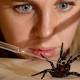 Public encouraged to capture, not kill, Australia's most deadly spiders 