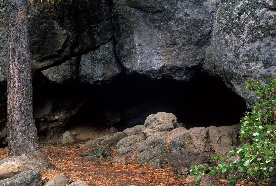 Lava River Cave by null