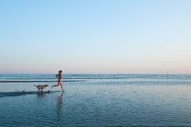 3d hentai vinput Hentai 3D slimdog 