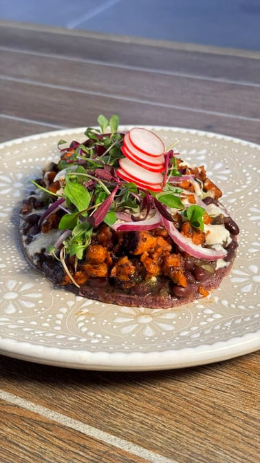 Suculenta Cocina Mexicana by null