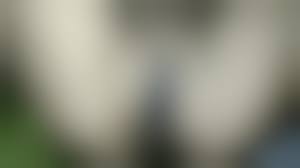 village girl pussy|Indian village girl fucking first time pussy fuck - XNXX.COM