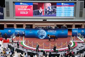 hebe pussy 8ch|St. Mary's Muse