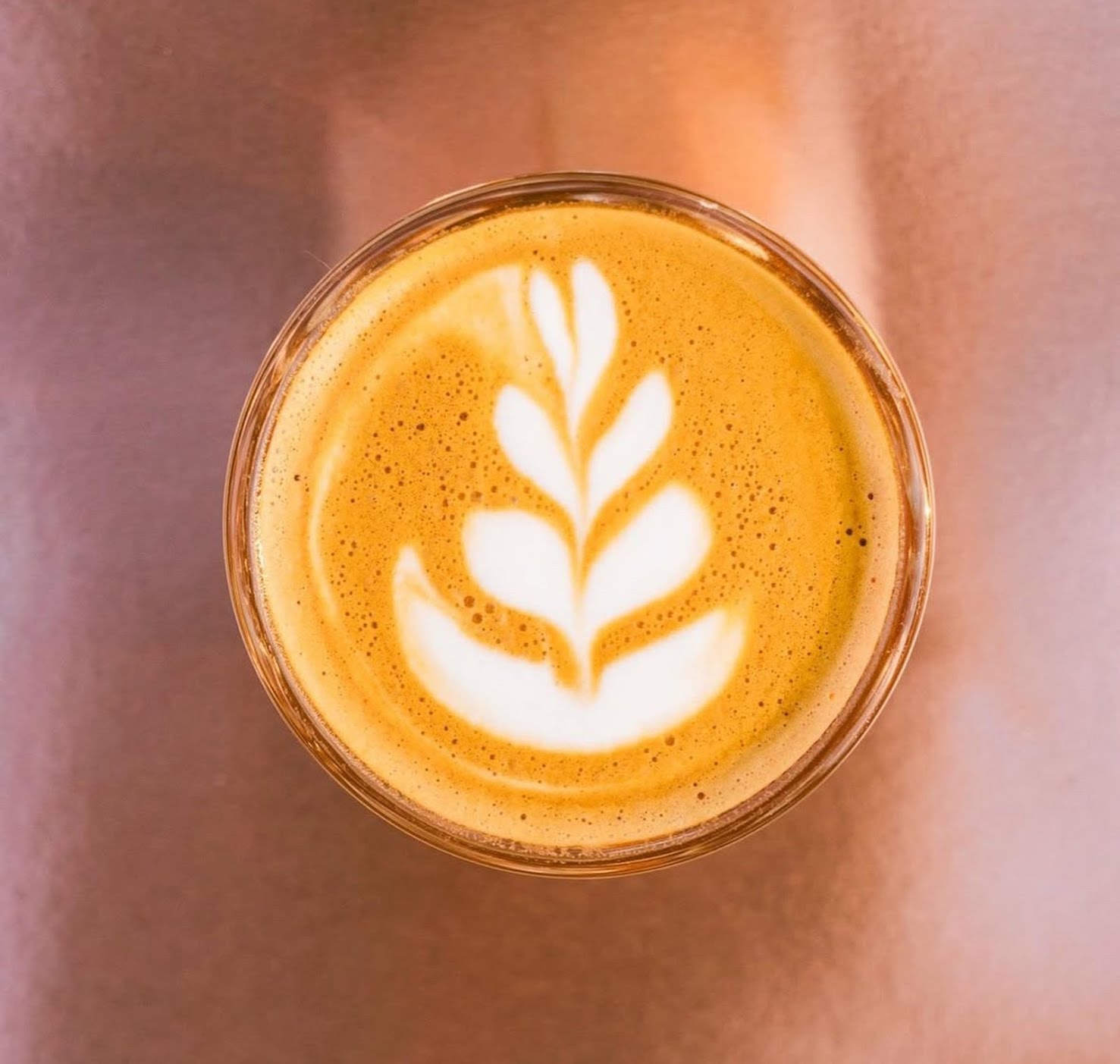 Coffee For Sasquatch by null