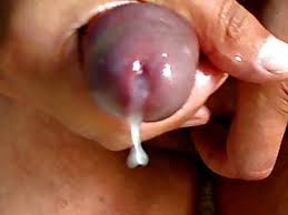 Wet penis jpg x Wet penis