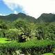 Hawaii's Endemic Life is Fast Disappearing; 87 Percent in Danger of Extinction 