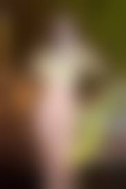 fake 누드 합성|딥페이크의 두 얼굴 '암 진단' '합성누드'