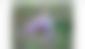 girl naked deat|Dead body of semi-naked woman found in Hailakandi paddy field - Barak  Bulletin