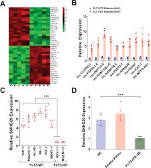 go ara  fake nude|DOMMUNE