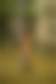 tumblr 変態野外露出|tumblr パイパン りゅう 野外露出 何者？ | これ誰？未解決画像掲示板【PICB2】