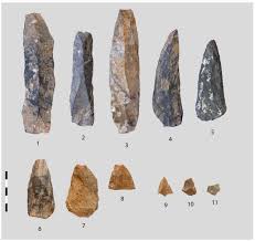 siberian mouses blowjob|American Pipit - Anthus rubescens - Birds of the World