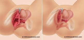 before ad after sex|7 things you should never do before and after sex | relationships -  Sharecare