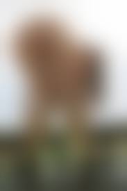 nude teen socks|Teen Kasia Nude. Dirty White Socks. Rating = Unrated