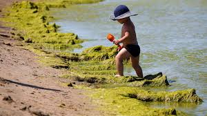 голые маленькие дети|Как семилетняя девочка зарабатывает $28 млн в год на YouTube | Forbes.ru