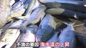 tokyo hot e727|温泉がある 花巻のホテル・旅館 料金比較・宿泊予約 - 12社から最安値検索【価格.com】