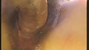 Ced gaybeast com the virgin mare gay zoo porn petlust men fuck animals jpg x Mare fucking