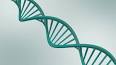 DNA'nın Yapısını Keşfetmek ile ilgili video