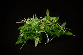 маша бабко  Thumbs|Marija Babko | TikTok